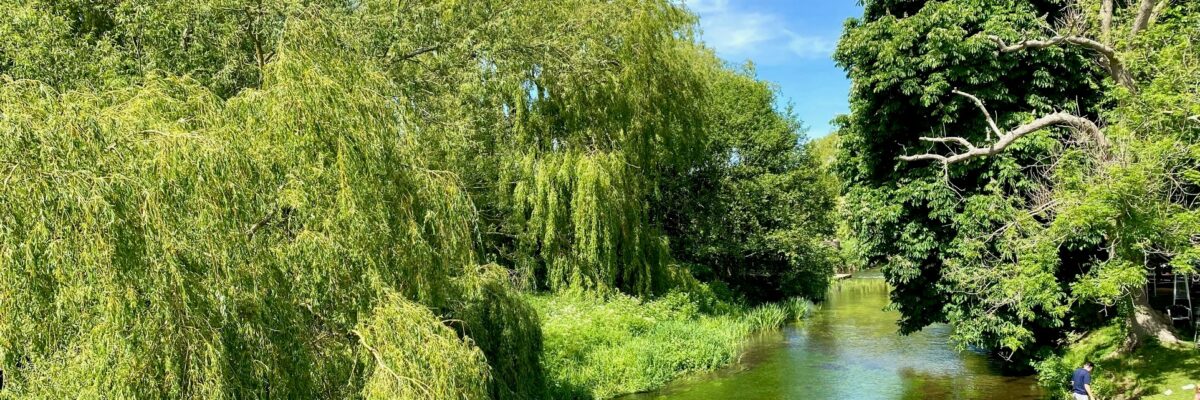 Chalk Stream Wye2 Aspect Ratio 1200 400