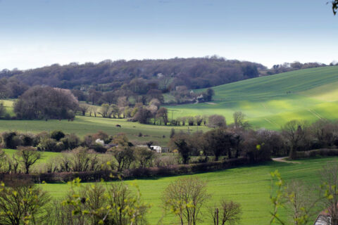 From Yockletts Bank By Jim Higham Aspect Ratio 480 320