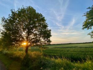 Photo 08 06 2021, 20 37 27 (1)