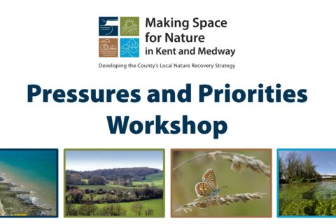 PP Workshop 1 Aspect Ratio 480 320