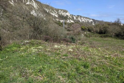 Folkestone Warren 1 Scaled Aspect Ratio 480 320