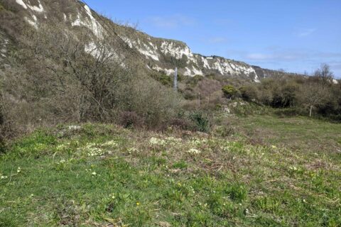 Folkestone Warren 1 Scaled Aspect Ratio 480 320