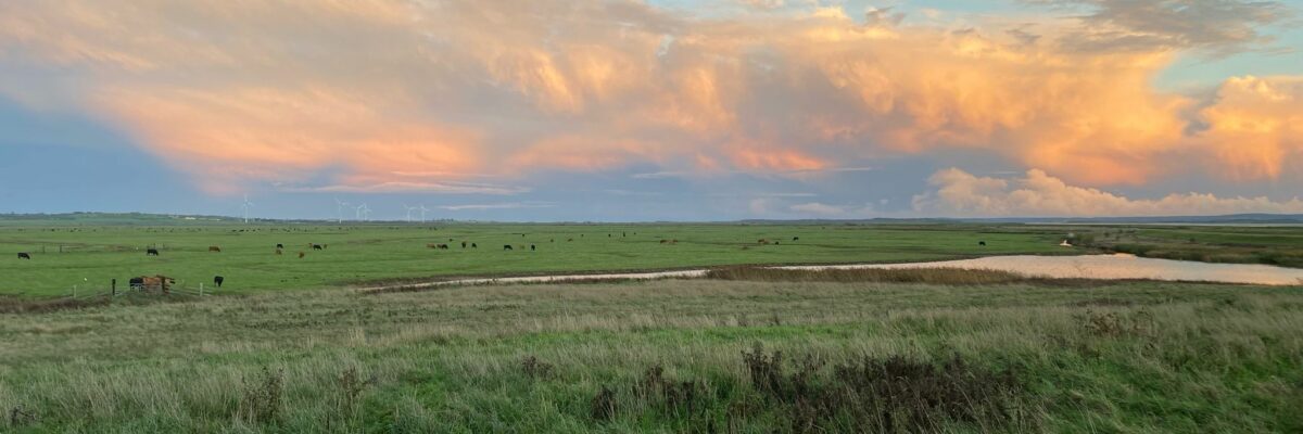 IMG 20240314 WA0002 Aspect Ratio 1200 400