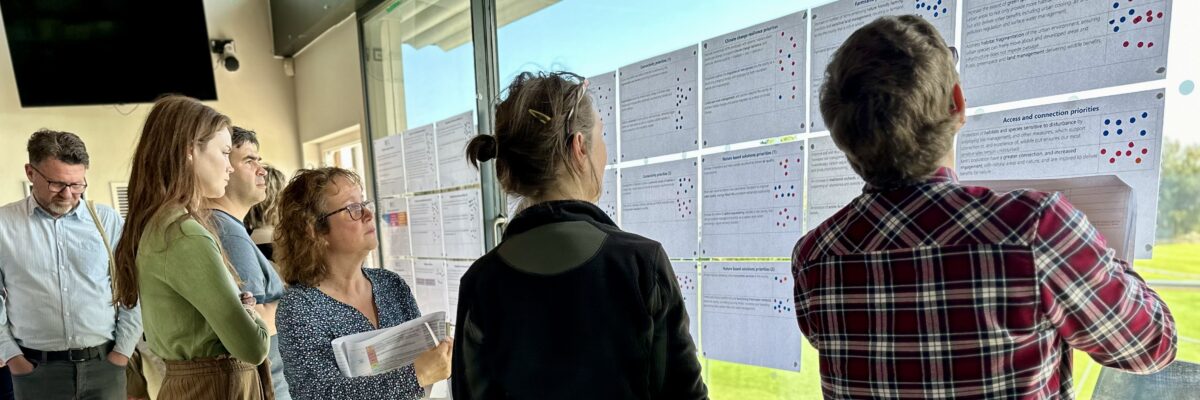 Photo 07 05 2024 13 27 06 1 Scaled Aspect Ratio 1200 400