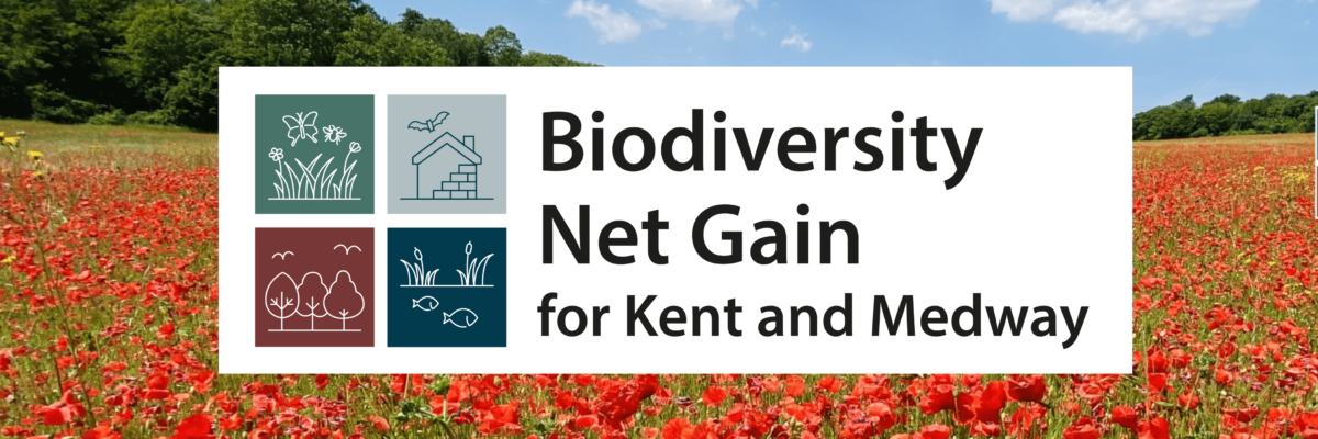 Picture4 Min Aspect Ratio 1200 400