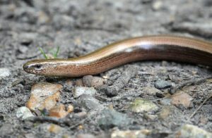 51390537571_ea528a669c_e