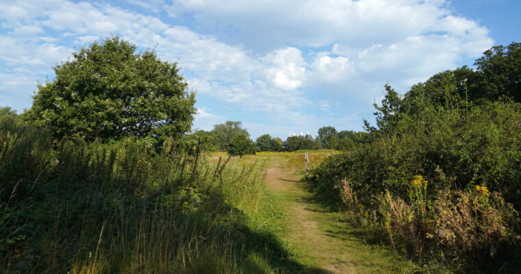 53931095740_20acd93f96_k 1 Aspect Ratio 760 400