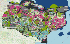 All Potential Measures Mapped