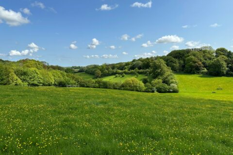 Maidstone Scaled Aspect Ratio 480 320