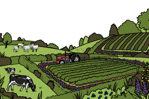 MakingSpaceforNAture_1_Border_1_Farmland2 Copy 1 1 Aspect Ratio 480 320