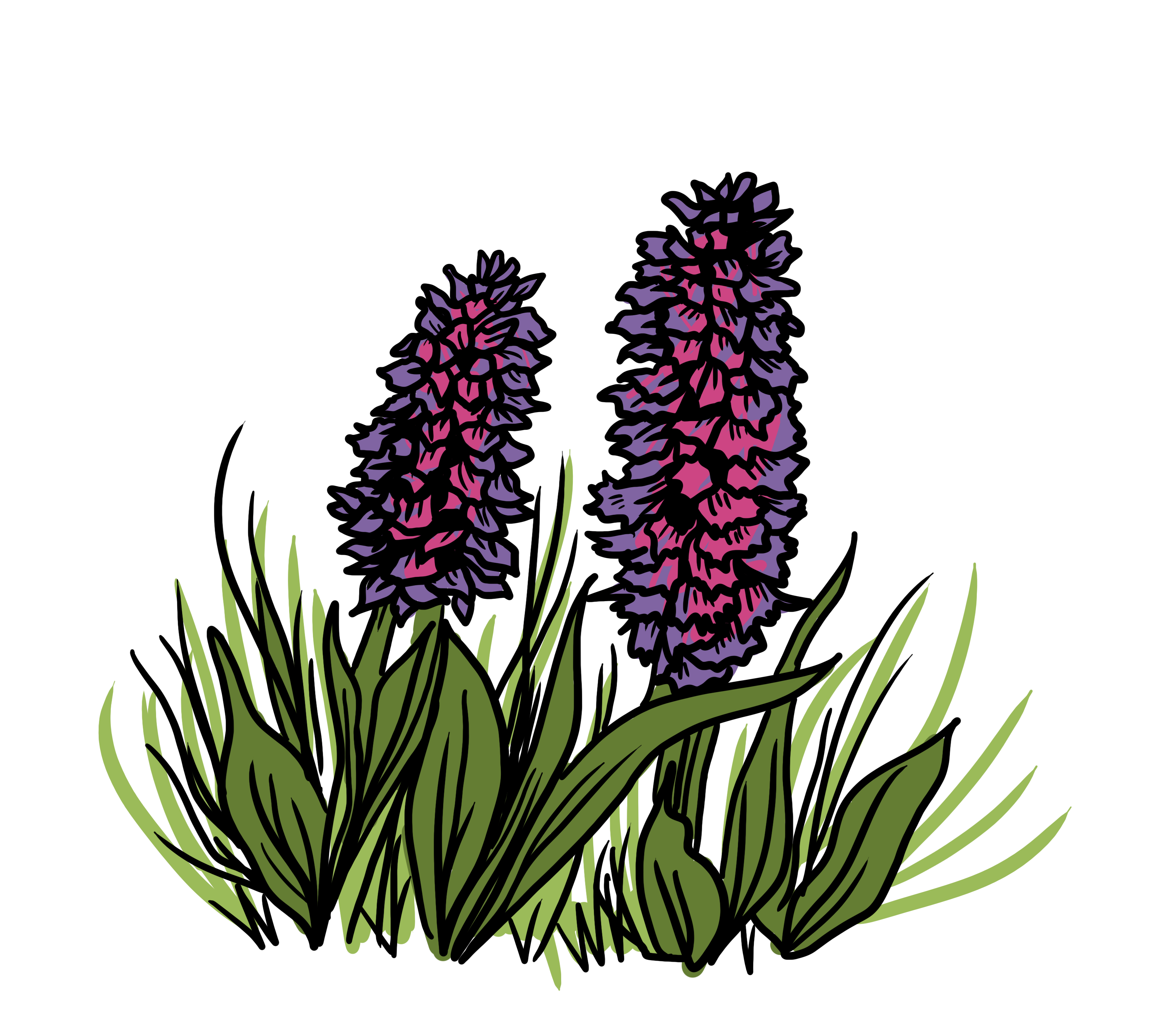 MakingSpaceforNAture_2_Farmland_3_Flowers_Orchids Copy