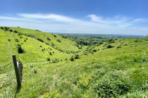 Ashford Scaled Aspect Ratio 480 320