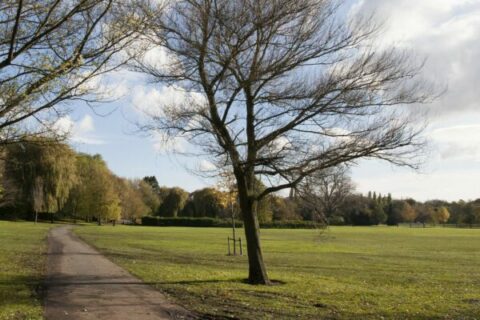 Dartford Aspect Ratio 480 320