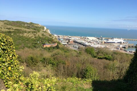 Dover Scaled Aspect Ratio 480 320