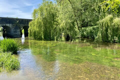 Kent Scaled Aspect Ratio 480 320