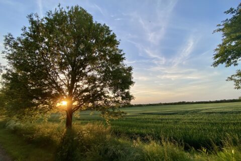 Swale Scaled Aspect Ratio 480 320