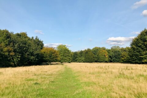 Tonbridge And Malling Scaled Aspect Ratio 480 320