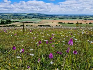 448869361_122148363260126338_8184829710772455165_n