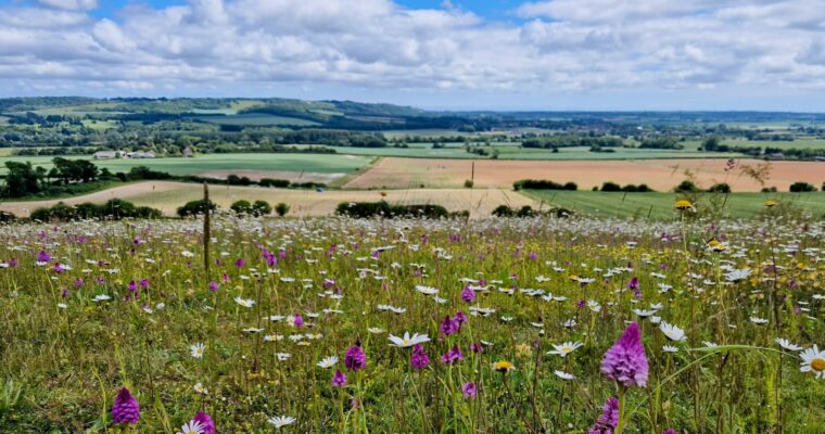 448869361_122148363260126338_8184829710772455165_n Aspect Ratio 760 400