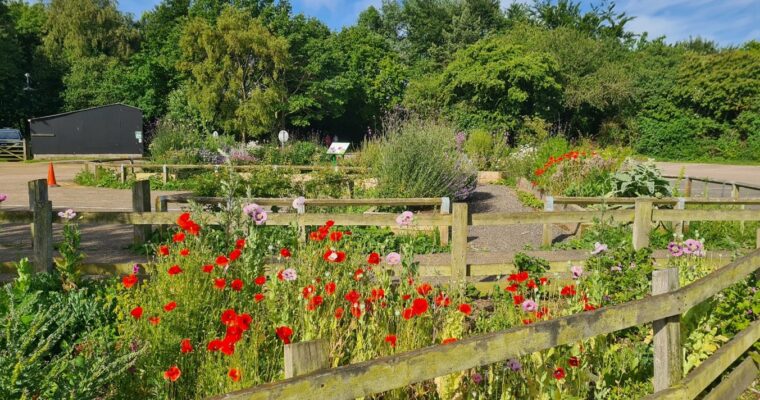 Picture1 Aspect Ratio 760 400