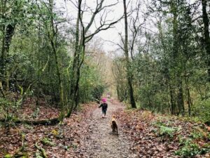 Winter Walks At Ide Hill