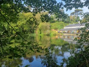 Mill Pond On The Medway