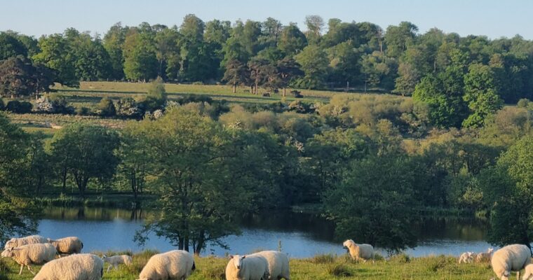 Rother 2 Scaled Aspect Ratio 760 400