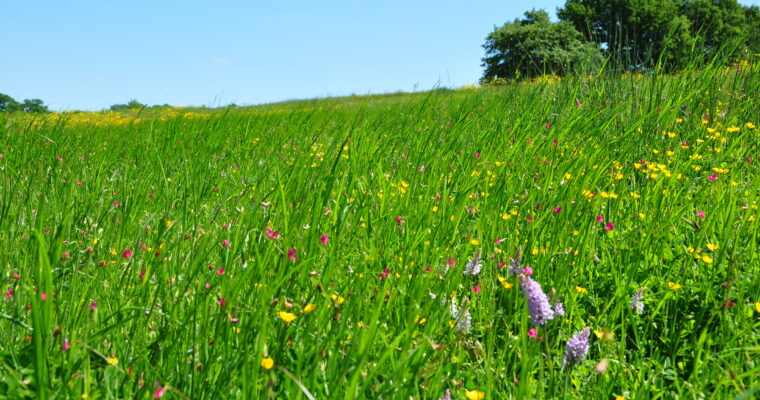 W2 Scaled Aspect Ratio 760 400