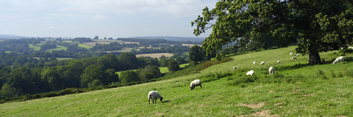P7 High Weald AONB Withyham Valley C Explore Kent 1 Aspect Ratio 1200 400