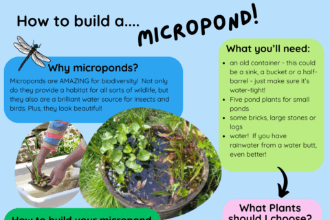 1 Aspect Ratio 480 320