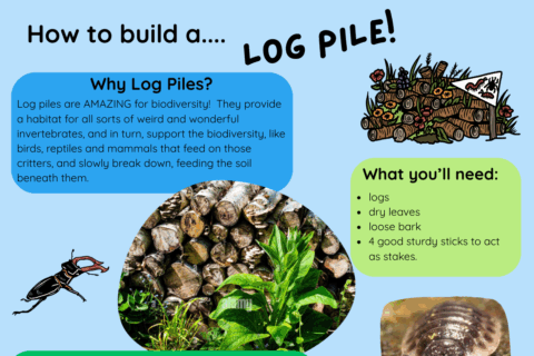 2 Aspect Ratio 480 320