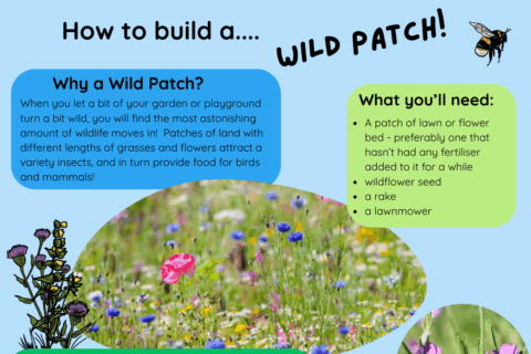 4 Aspect Ratio 480 320