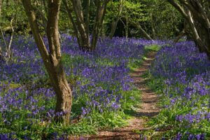 49800791973_ea0622b0e0_k