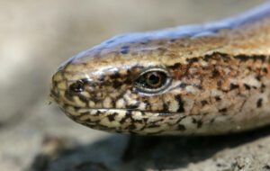 49863534003_e6d0562b74_k