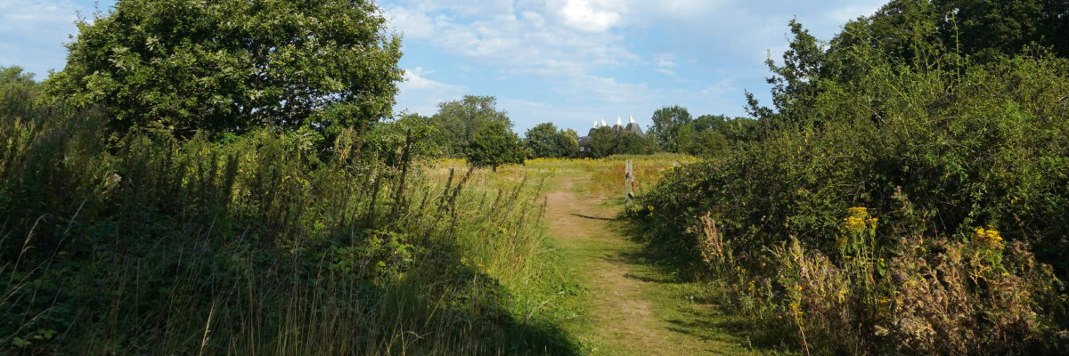 53931095740_20acd93f96_k 1 Aspect Ratio 1200 400