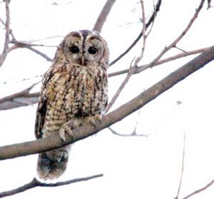 7310221424_01c308694a_c