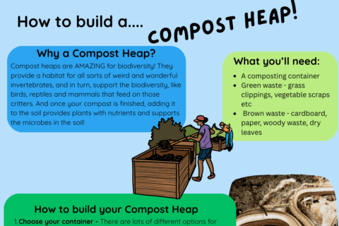 Your Paragraph Text Aspect Ratio 480 320