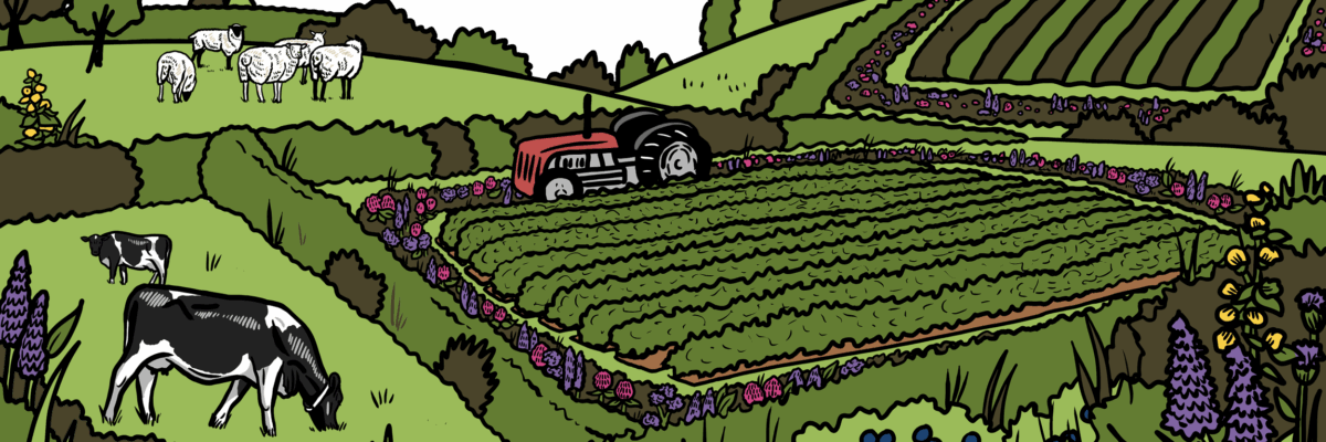 MakingSpaceforNAture_1_Border_1_Farmland2 CopyLR Aspect Ratio 1200 400