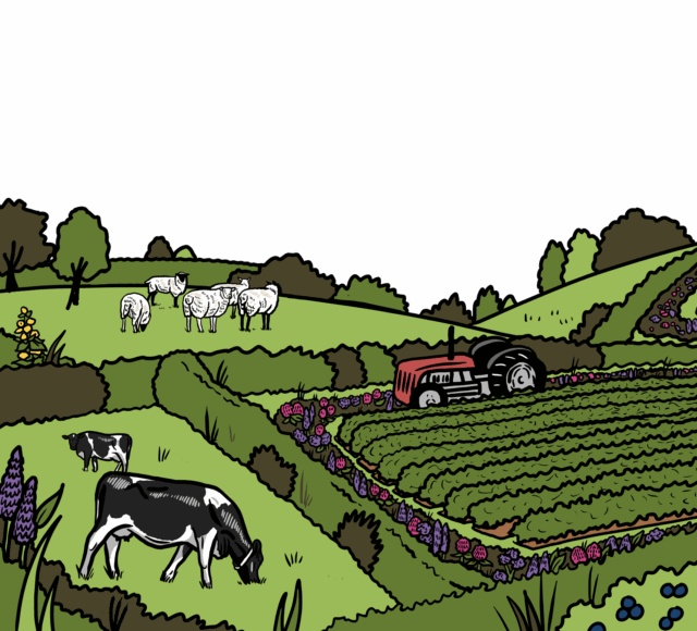 MakingSpaceforNAture_1_Border_1_Farmland2 CopyLR Aspect Ratio 640 580