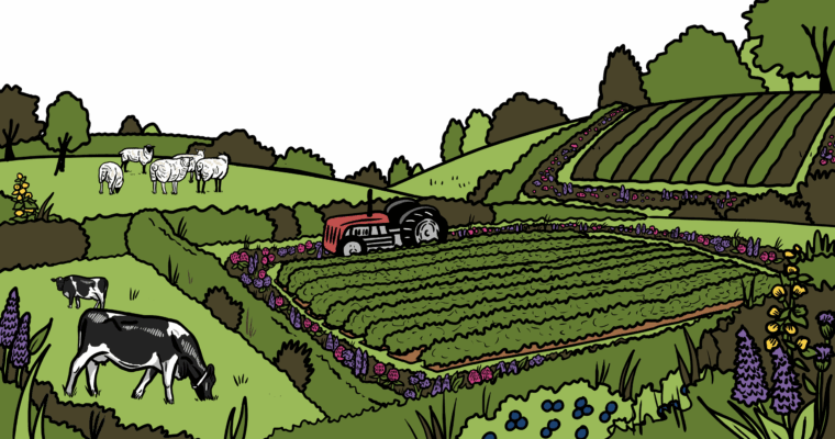 MakingSpaceforNAture_1_Border_1_Farmland2 CopyLR Aspect Ratio 760 400