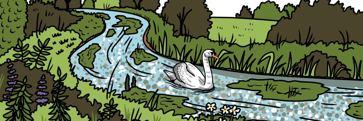 MakingSpaceforNAture_1_Border_2_RiverChalkStreams Copy 3 LR Aspect Ratio 1200 400