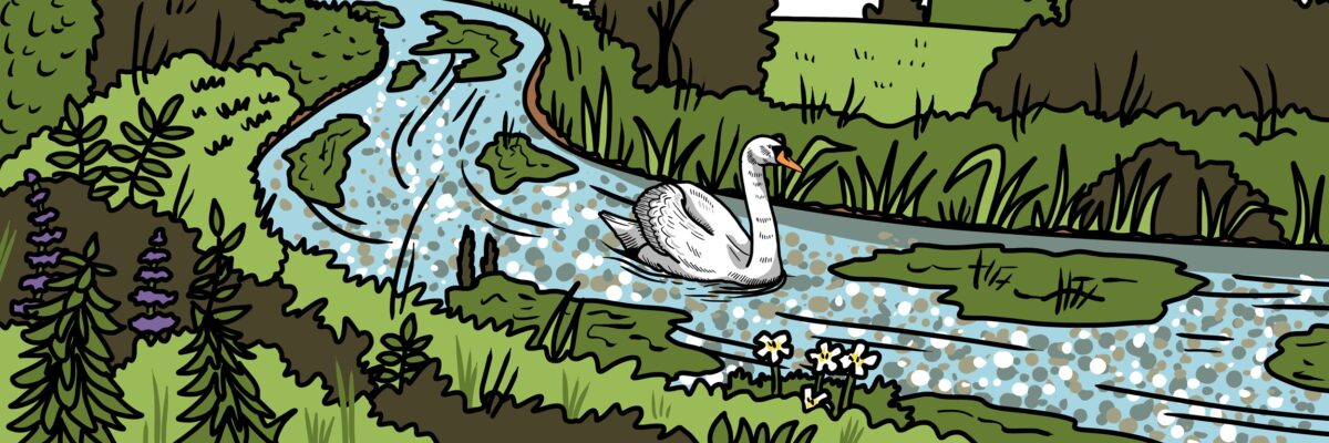 MakingSpaceforNAture_1_Border_2_RiverChalkStreams Copy 3 LR Aspect Ratio 1200 400