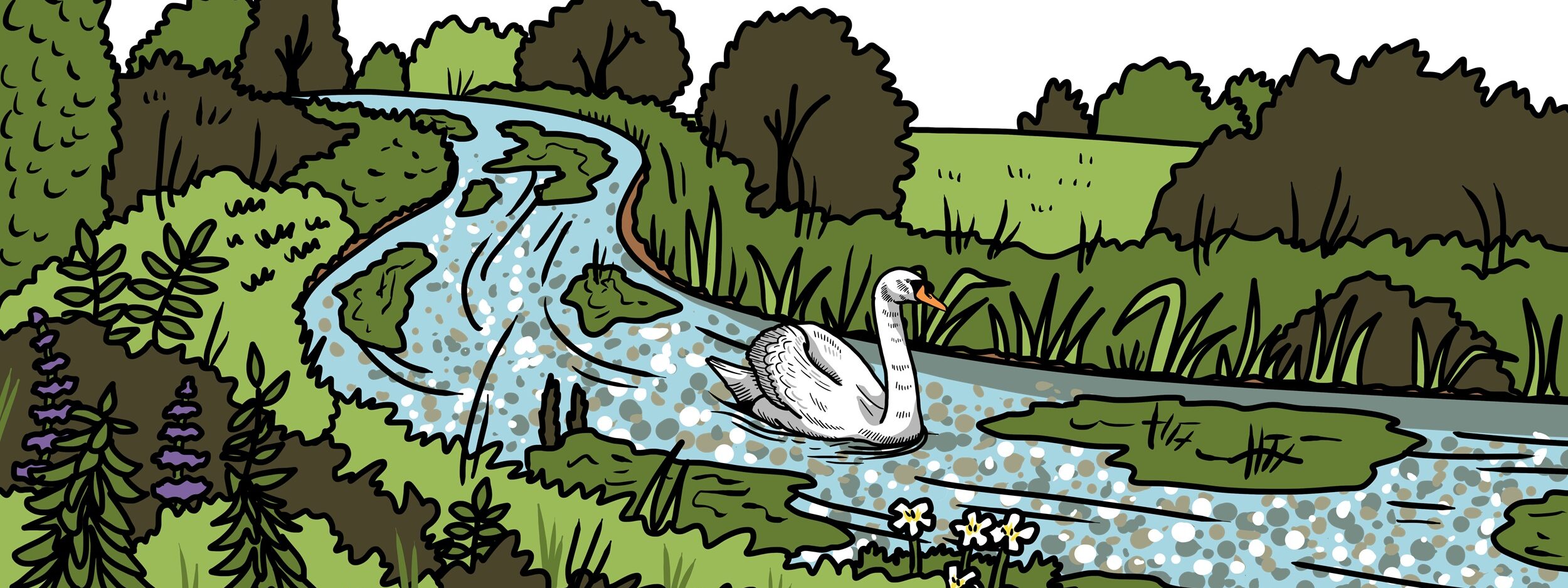 MakingSpaceforNAture_1_Border_2_RiverChalkStreams Copy 3 LR Aspect Ratio 1280 480