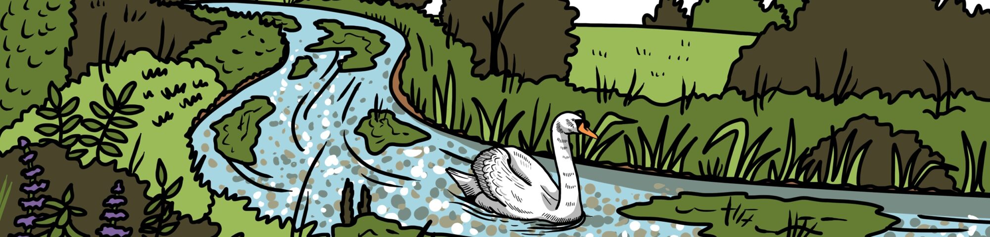 MakingSpaceforNAture_1_Border_2_RiverChalkStreams Copy 3 LR Aspect Ratio 2000 480