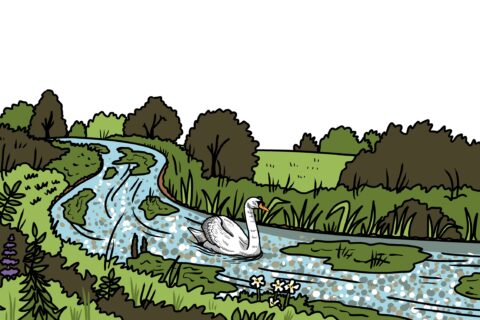 MakingSpaceforNAture_1_Border_2_RiverChalkStreams Copy 3 LR Aspect Ratio 480 320