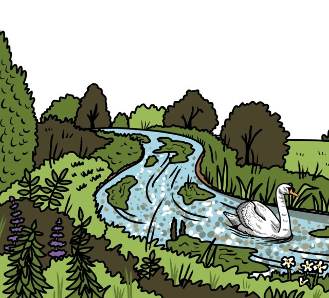 MakingSpaceforNAture_1_Border_2_RiverChalkStreams Copy 3 LR Aspect Ratio 640 580