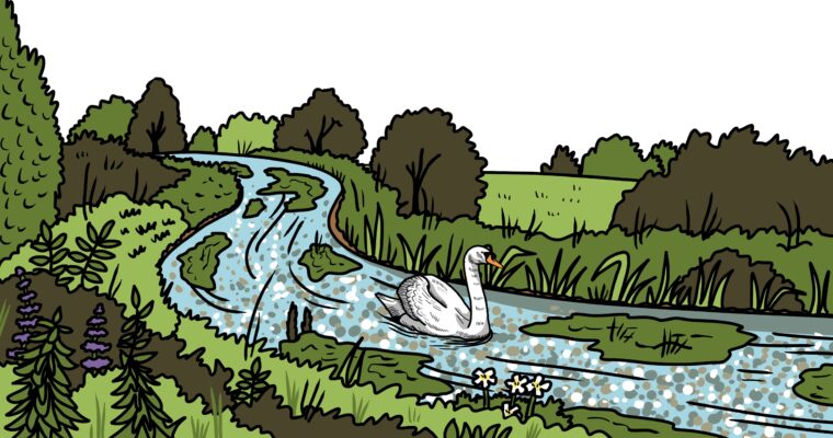 MakingSpaceforNAture_1_Border_2_RiverChalkStreams Copy 3 LR Aspect Ratio 760 400