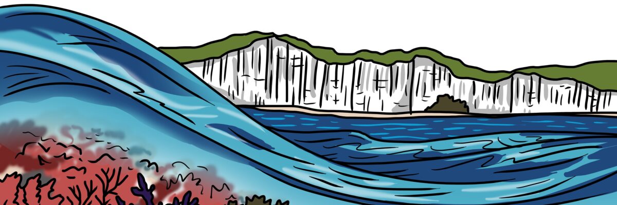 MakingSpaceforNAture_1_Border_4_Beach_ChalkReef Copy LR Scaled Aspect Ratio 1200 400