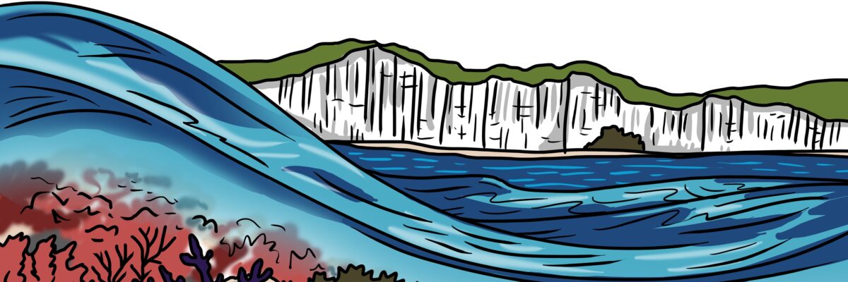 MakingSpaceforNAture_1_Border_4_Beach_ChalkReef Copy LR Scaled Aspect Ratio 1200 400