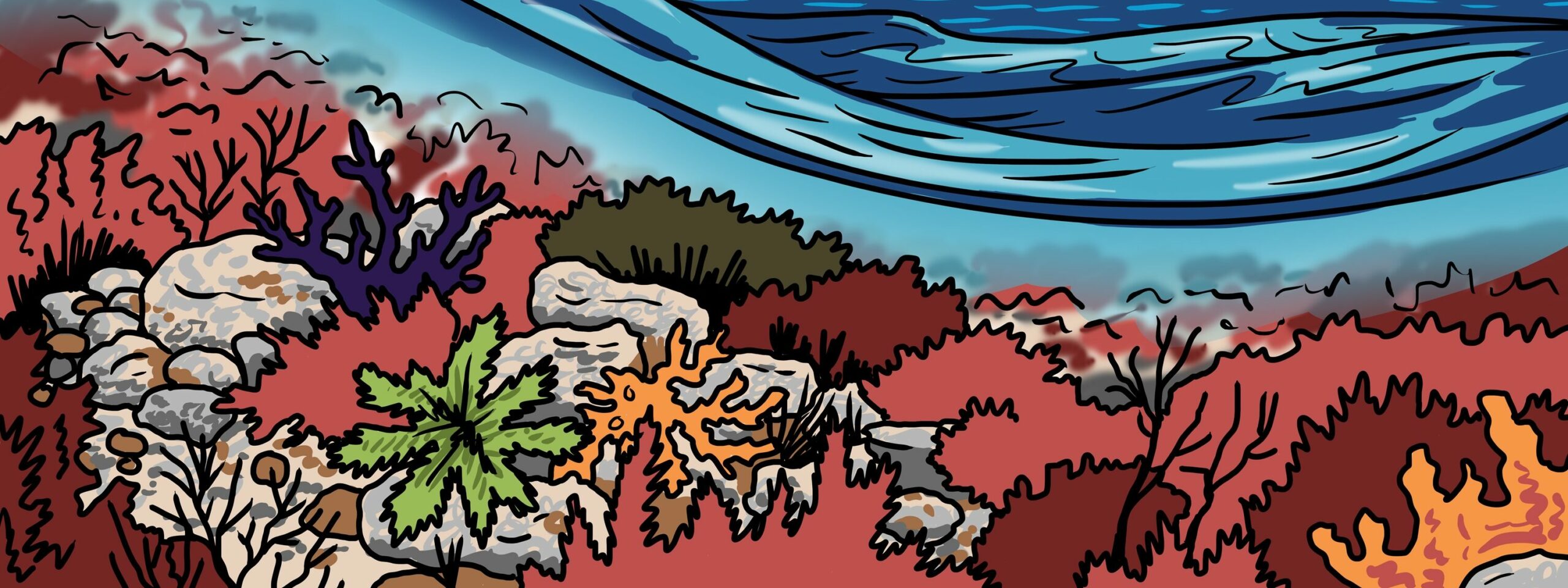 MakingSpaceforNAture_1_Border_4_Beach_ChalkReef Copy LR Scaled Aspect Ratio 1280 480